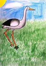 Csomó Gabriel (2).jpg